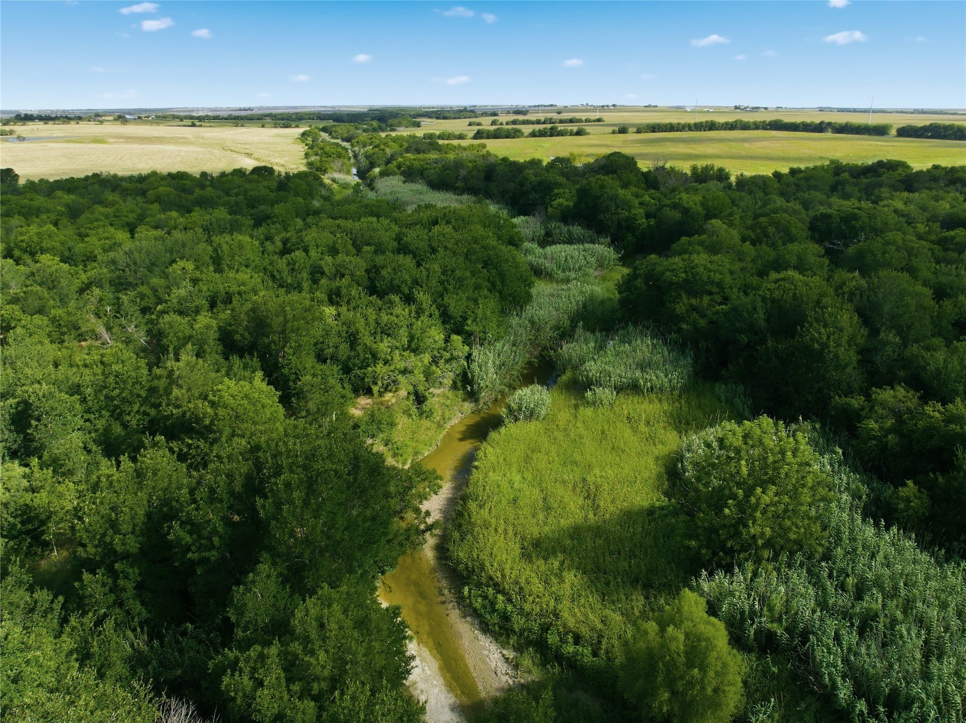 10 acres in Hill County - photo 12