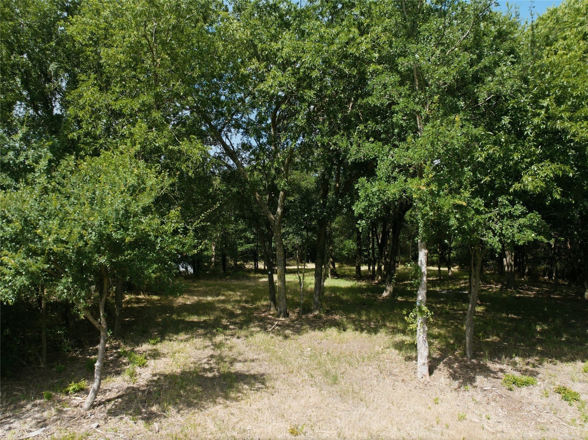 10 acres in Hill County - photo 8