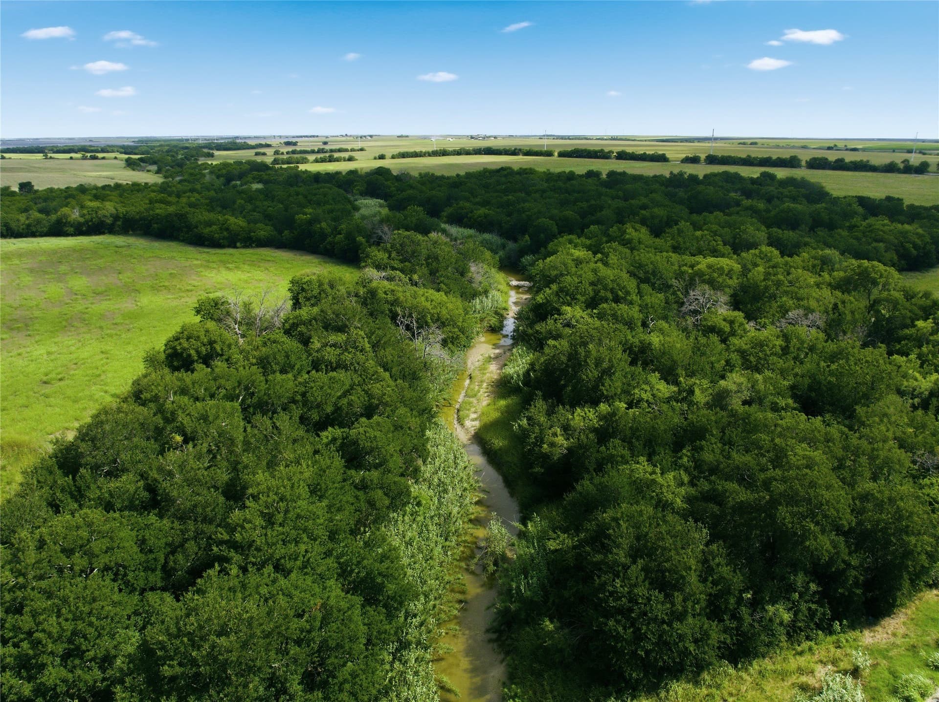 10 acres in Hill County - photo 6