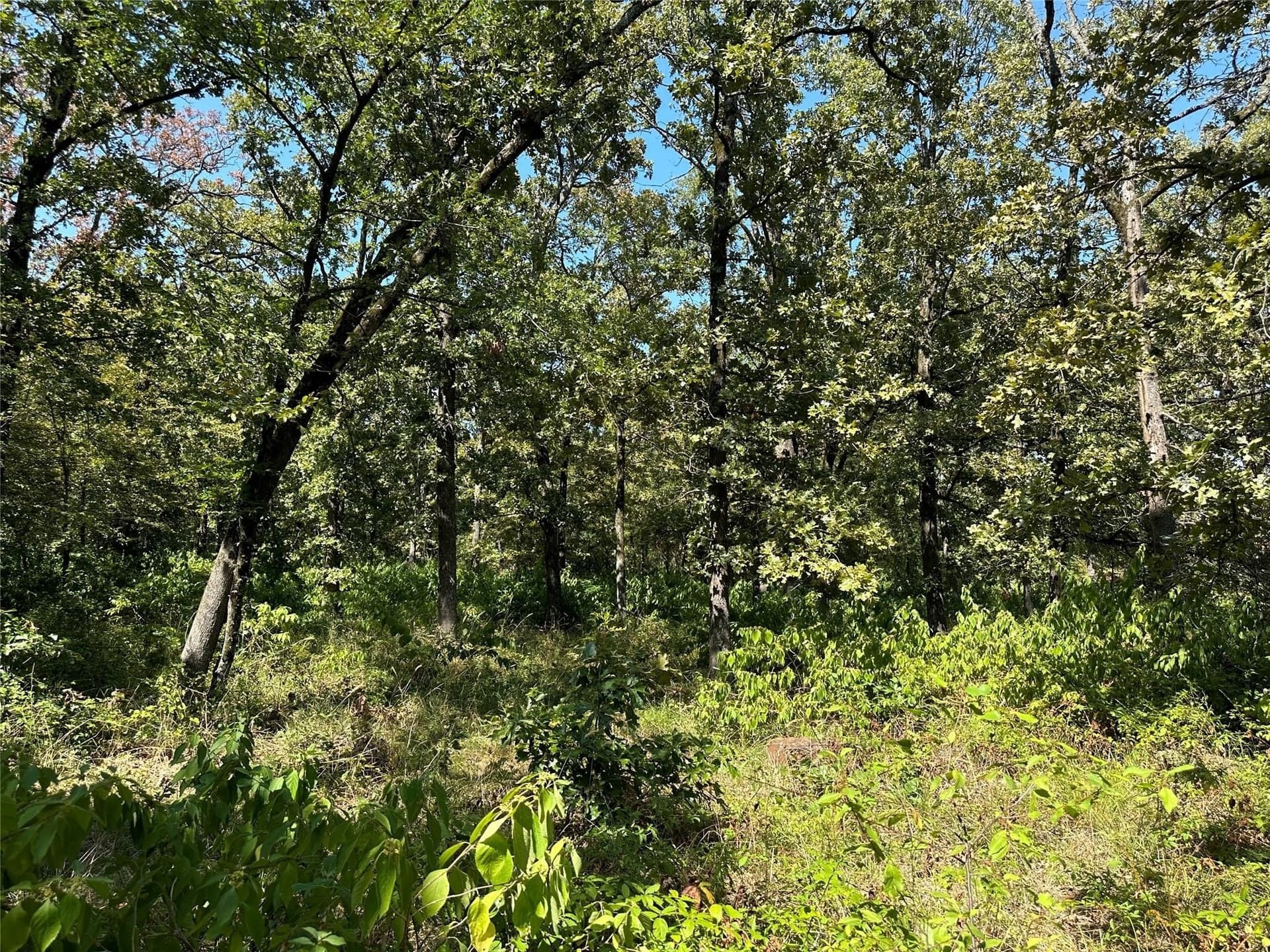 2.44 acres in Hopkins County - photo 9