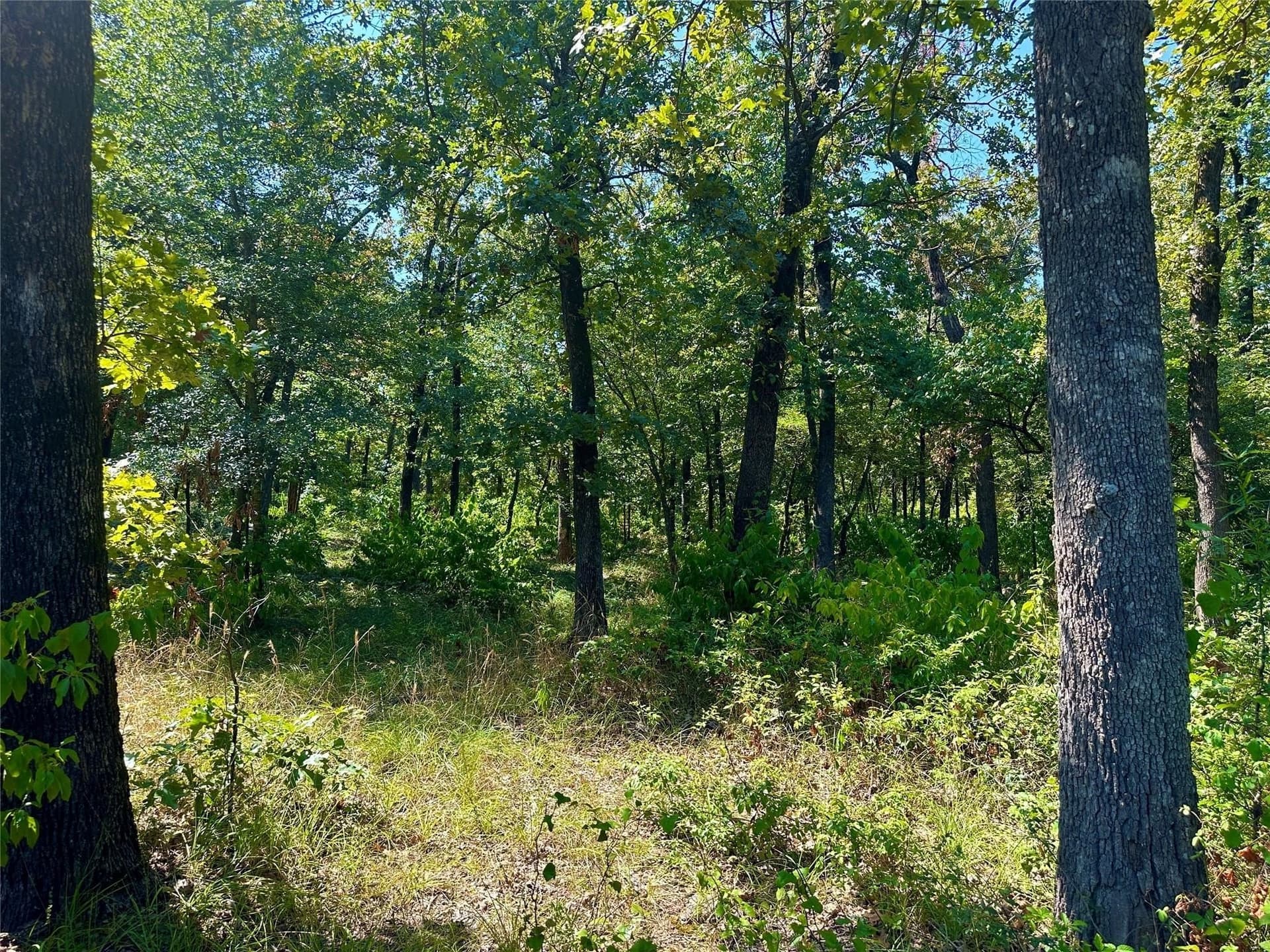 2.44 acres in Hopkins County - photo 4