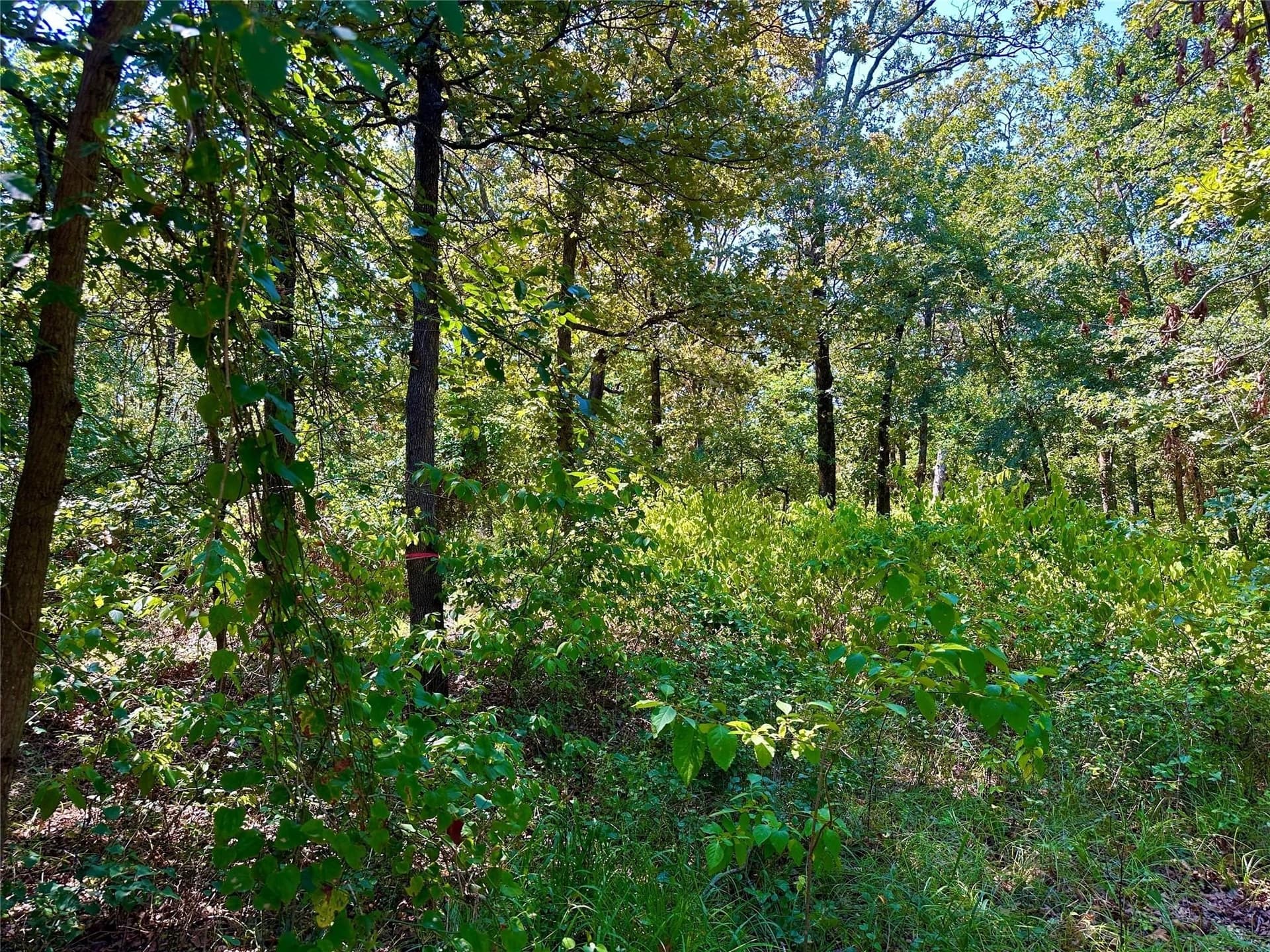 2.44 acres in Hopkins County