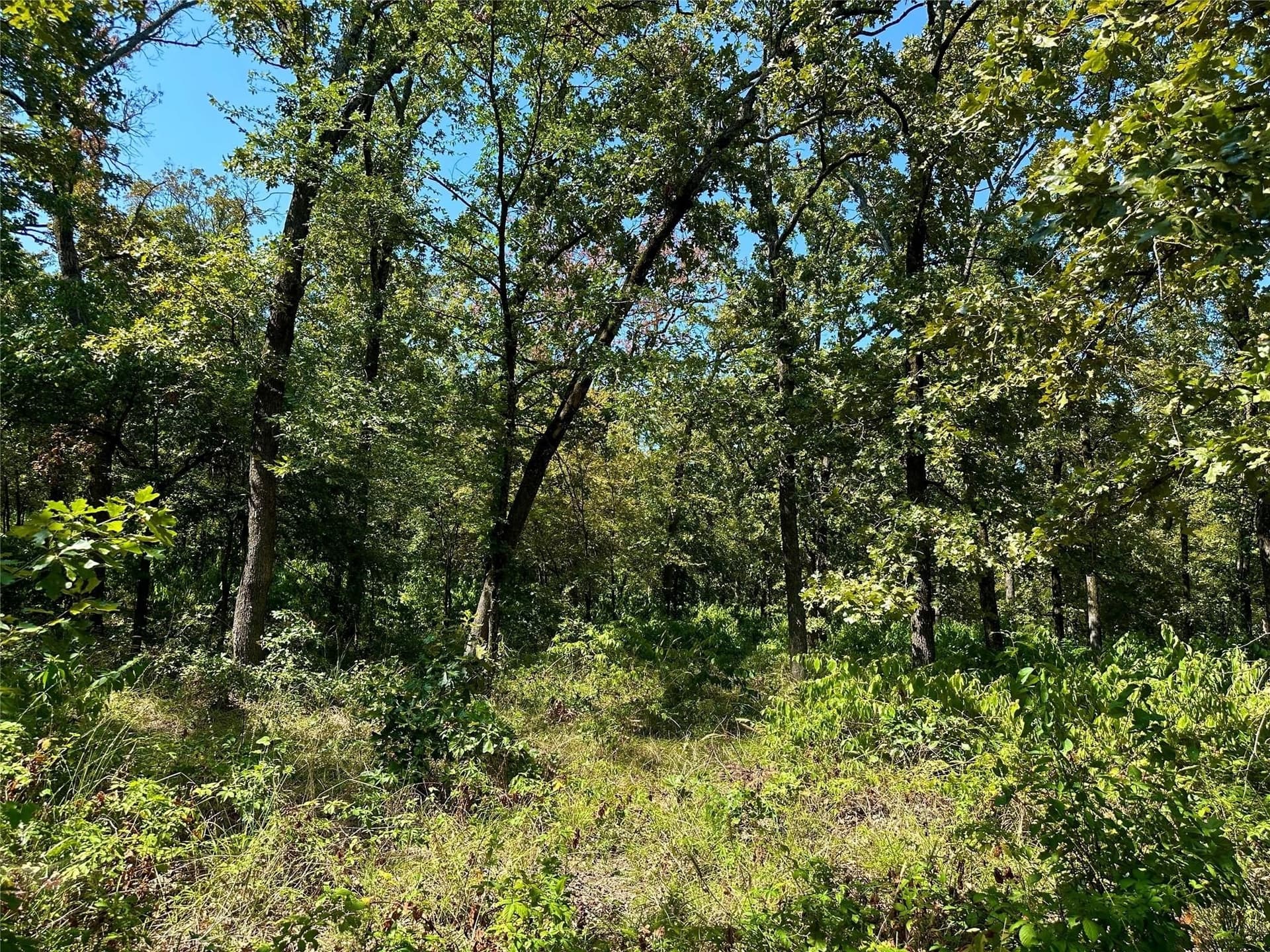 2.44 acres in Hopkins County - photo 7