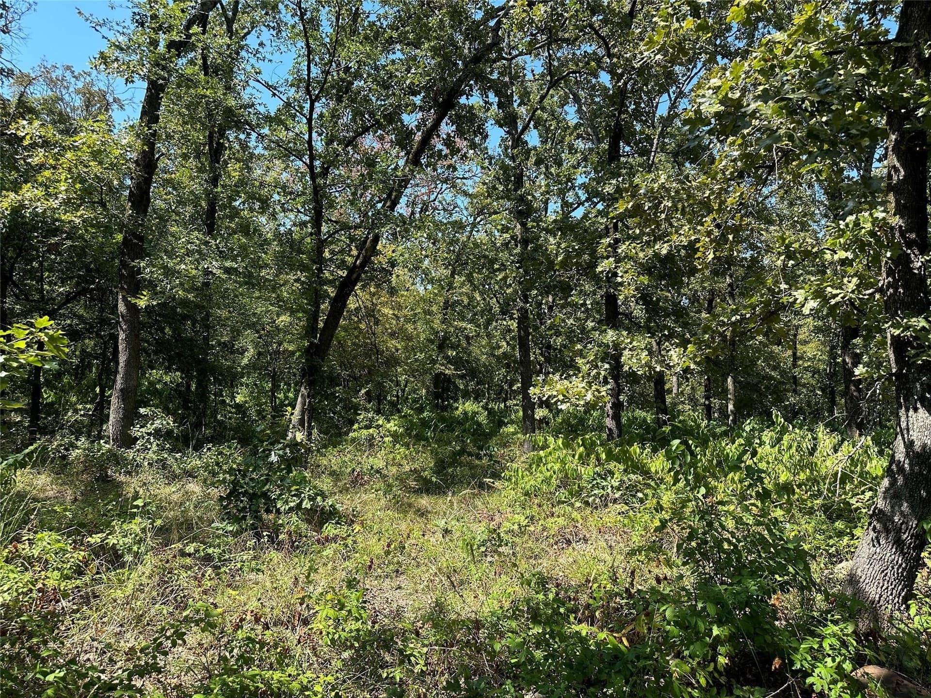 2.44 acres in Hopkins County - photo 5