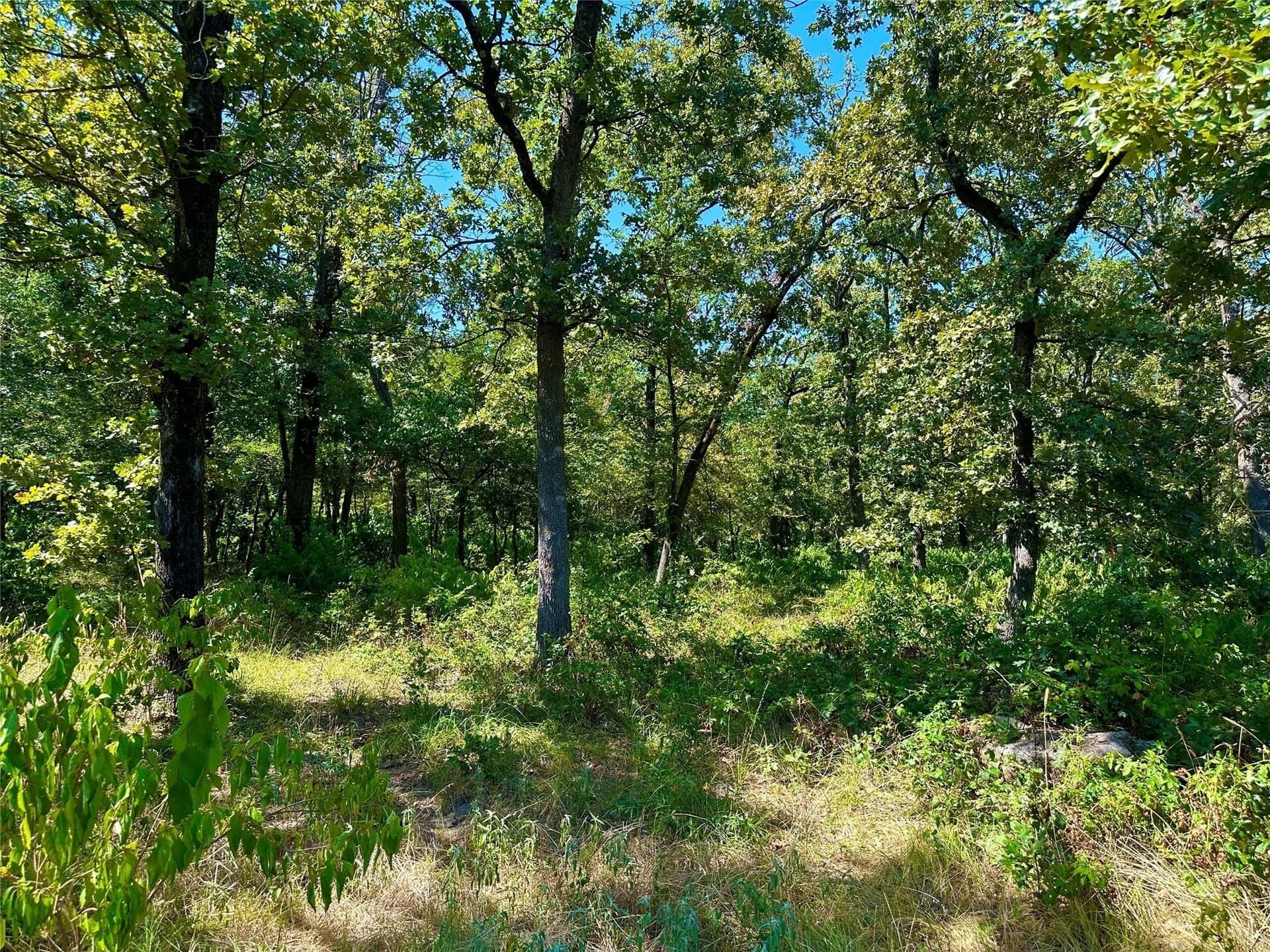 2.44 acres in Hopkins County - photo 3