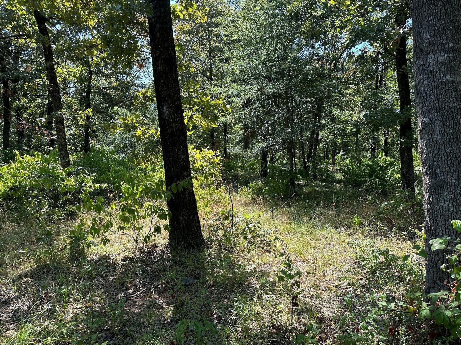 2.44 acres in Hopkins County - photo 6