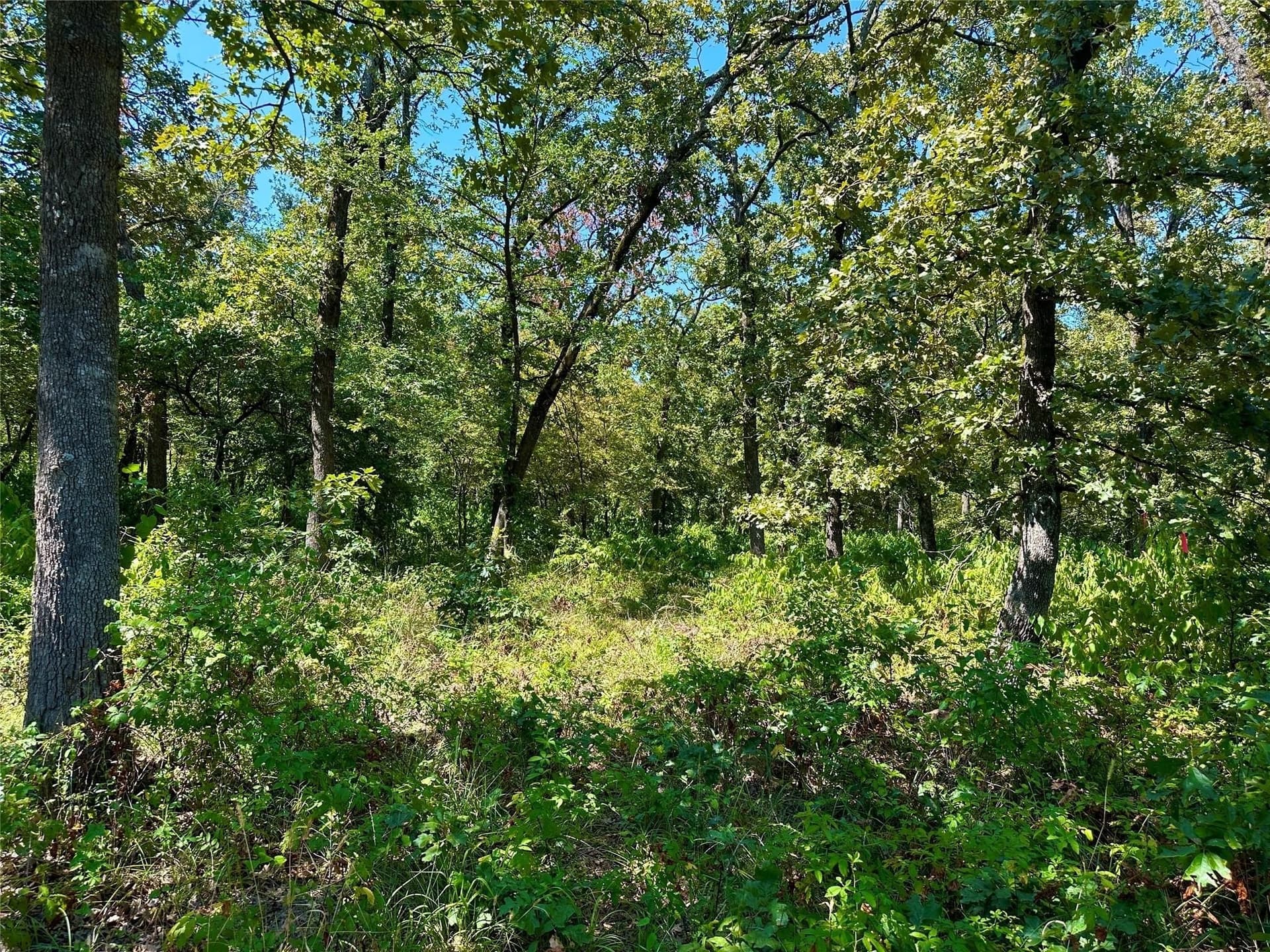 2.44 acres in Hopkins County - photo 15
