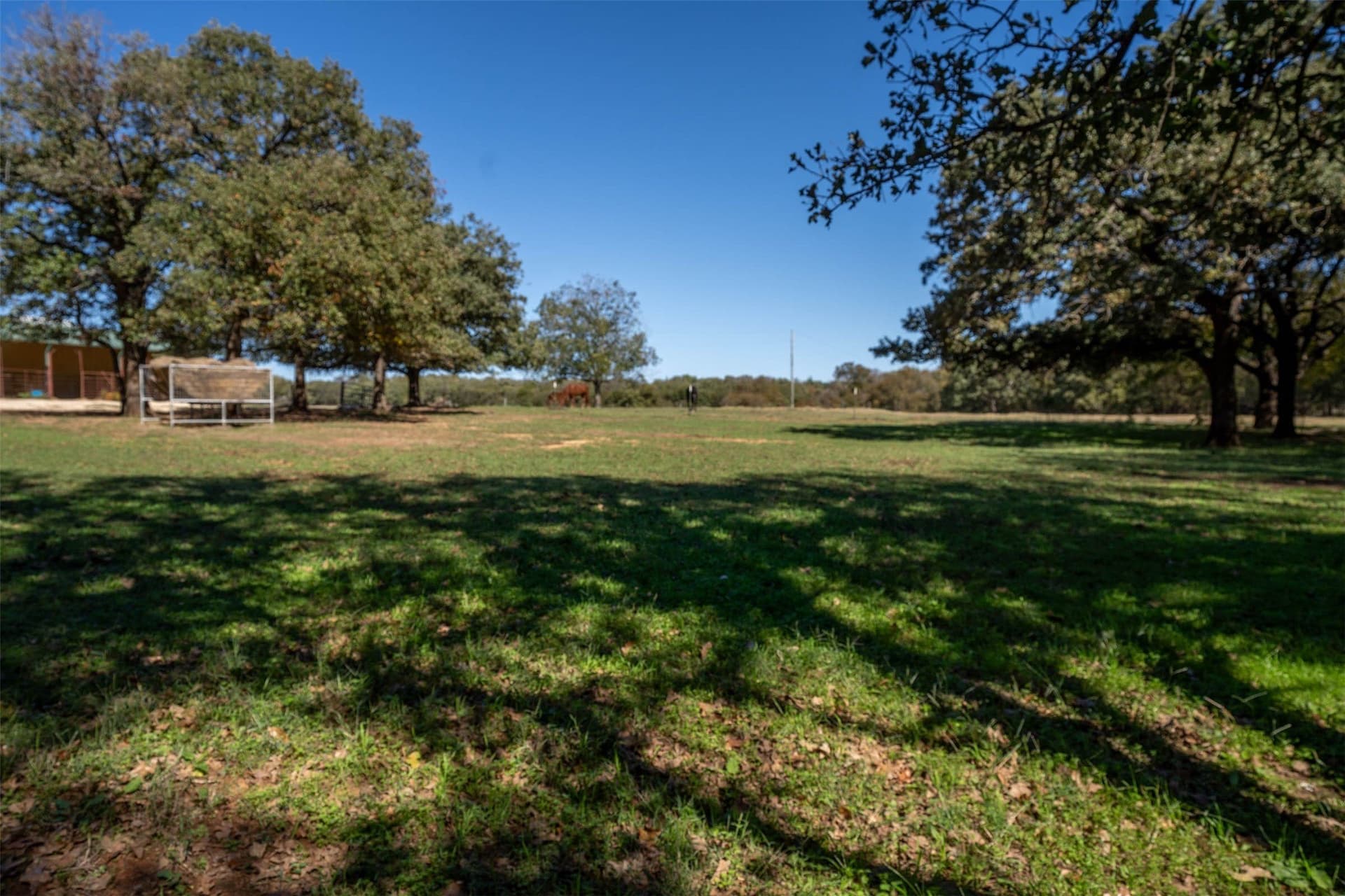24.1 acres in Hill County - photo 24