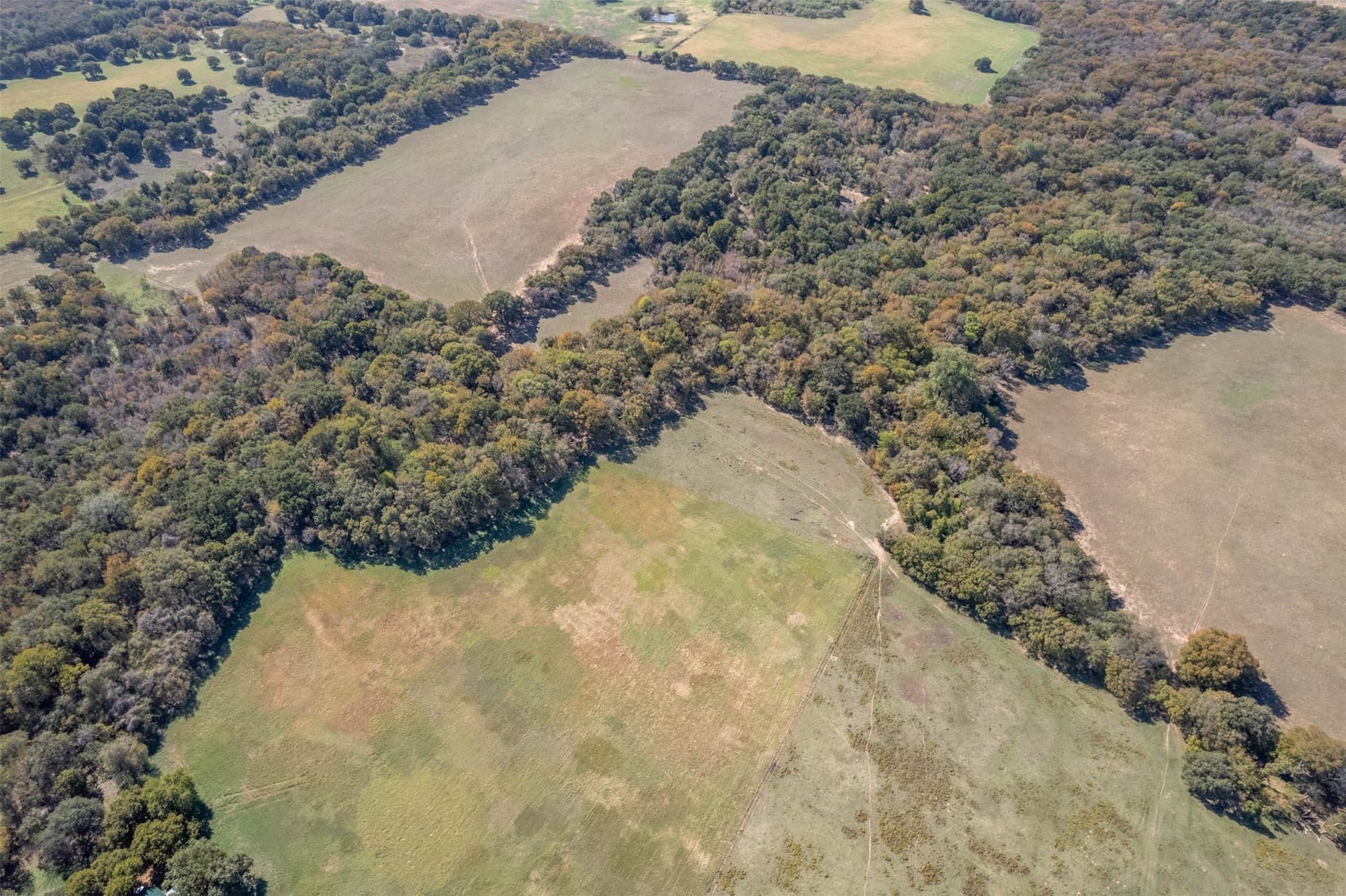 24.1 acres in Hill County - photo 35