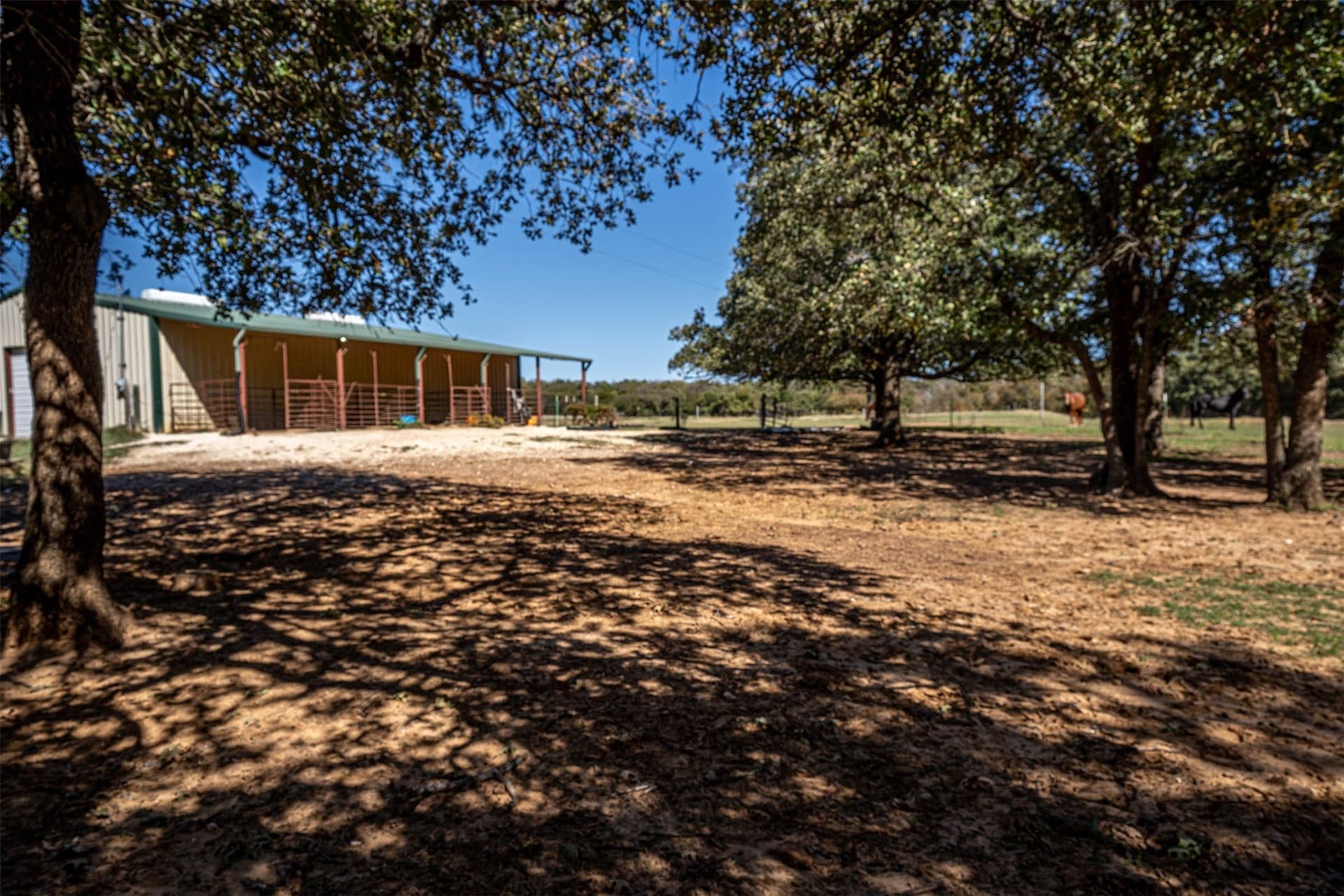 24.1 acres in Hill County - photo 23