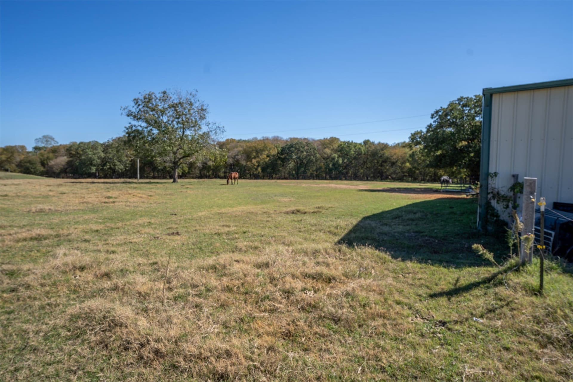 24.1 acres in Hill County - photo 27