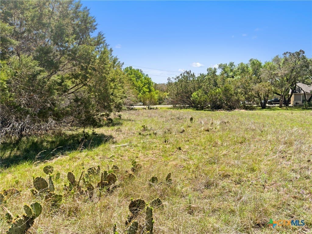 0.51 acres in Comal County gallery image 4