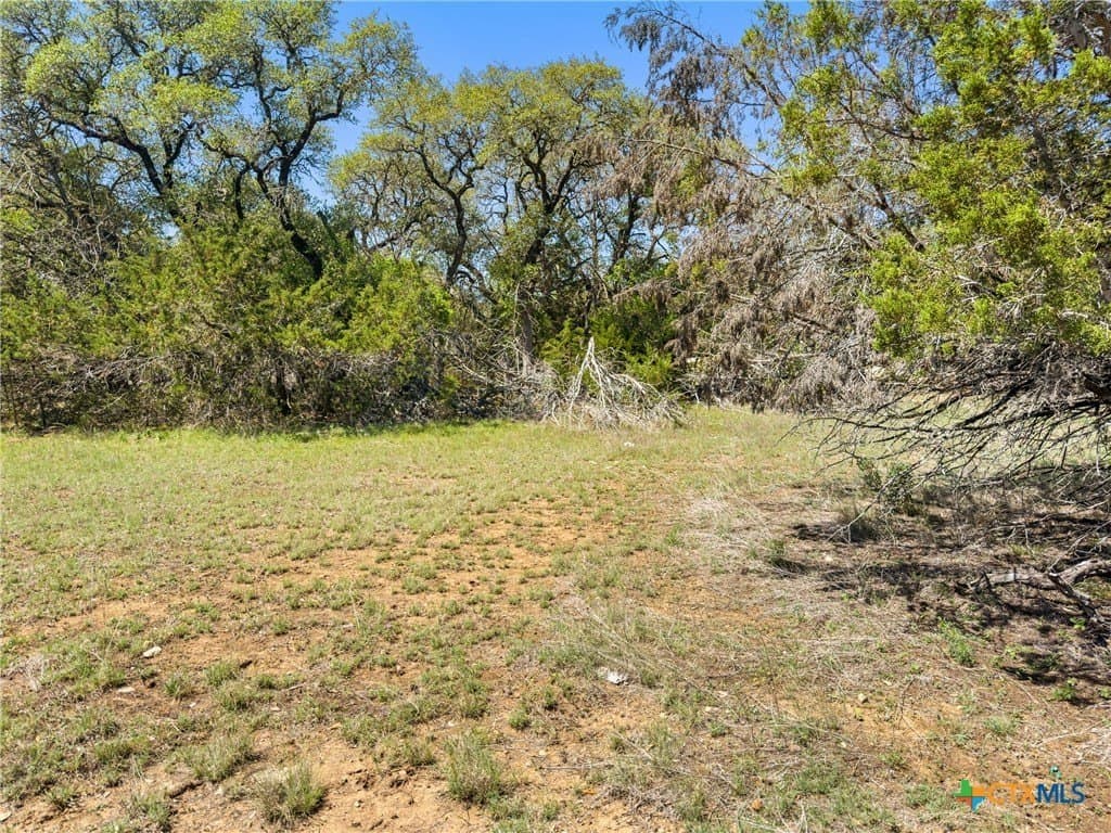 0.51 acres in Comal County - photo 10