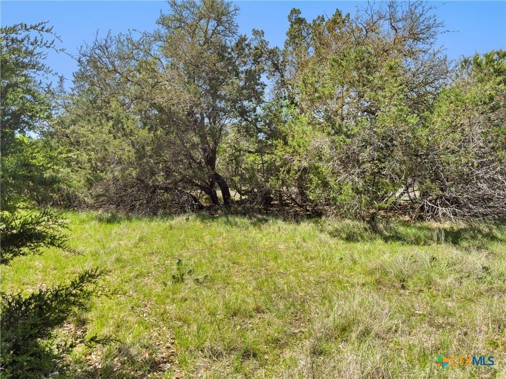 0.51 acres in Comal County gallery image 2