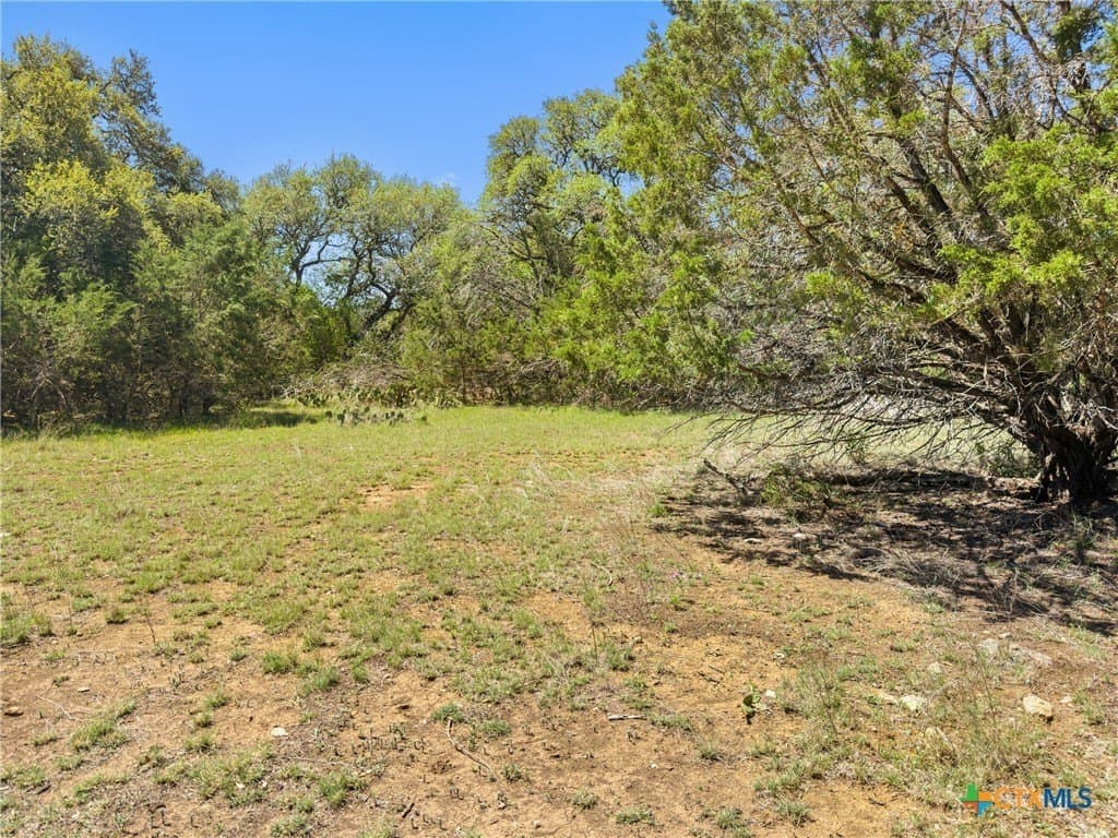 0.51 acres in Comal County - photo 8