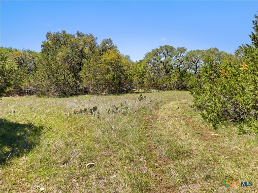 0.51 acres in Comal County gallery image 3