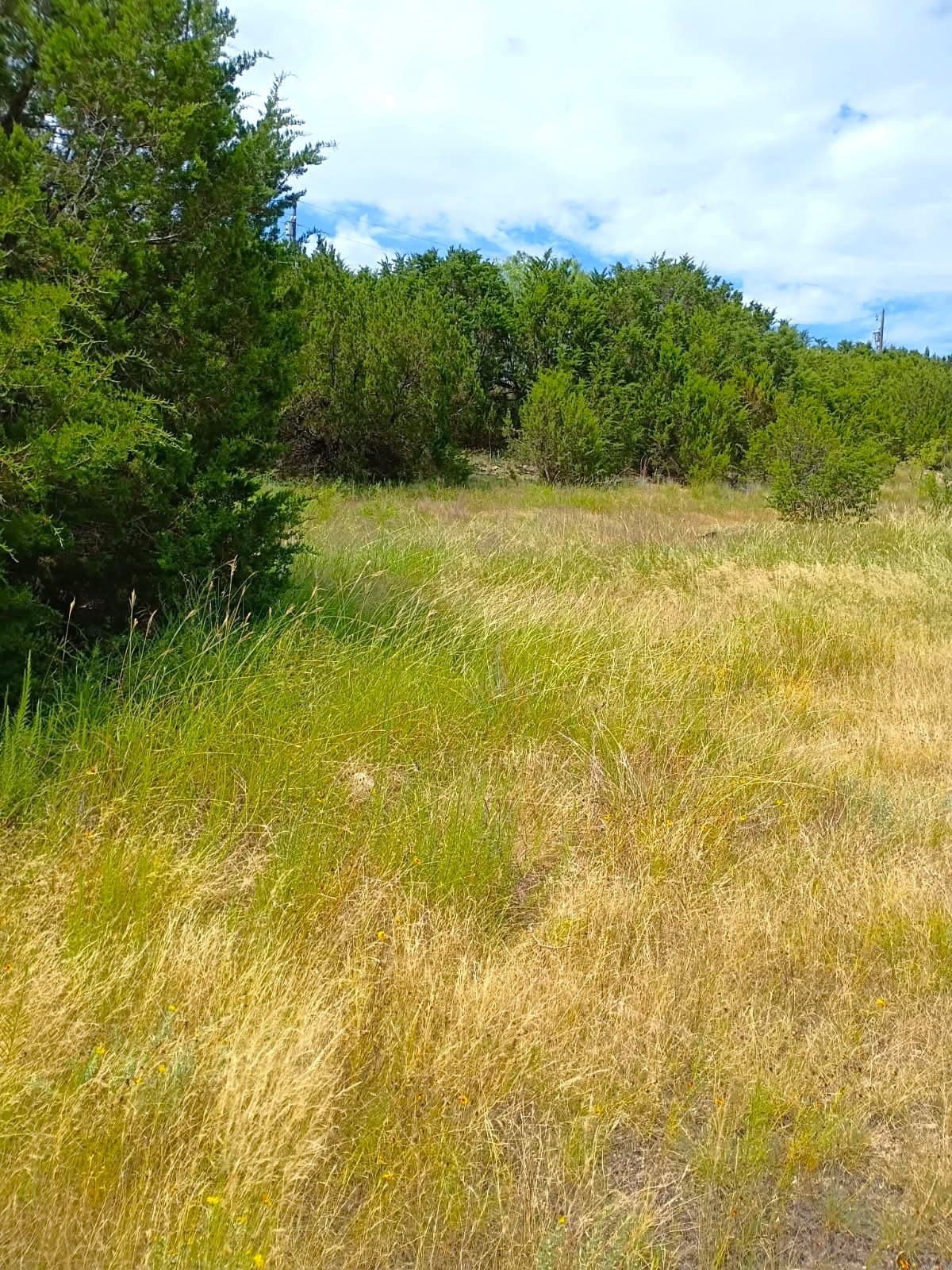 0.54 acres in Hood County - photo 3