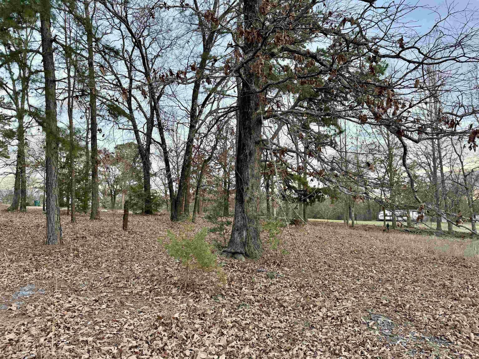 0.43 acres in Upshur County gallery image 3