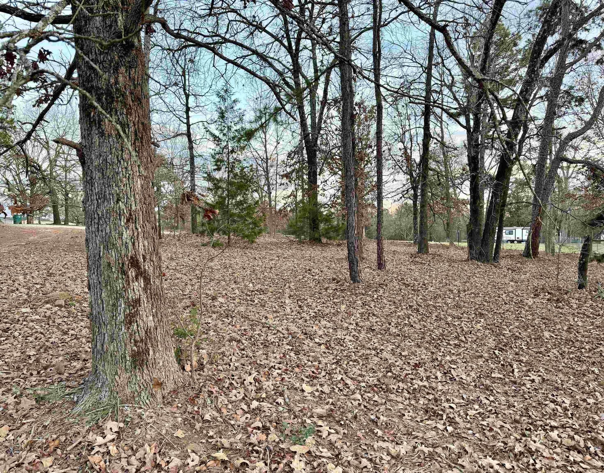 0.43 acres in Upshur County gallery image 4