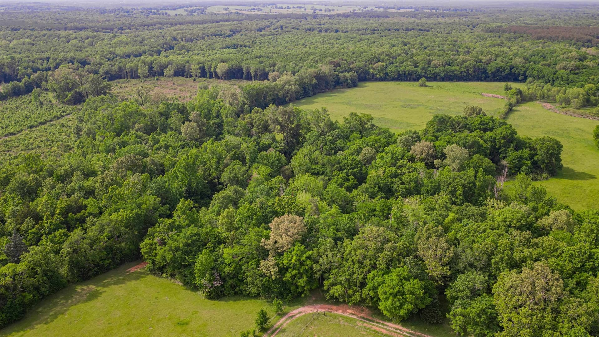 35.83 acres in Texas County featured view