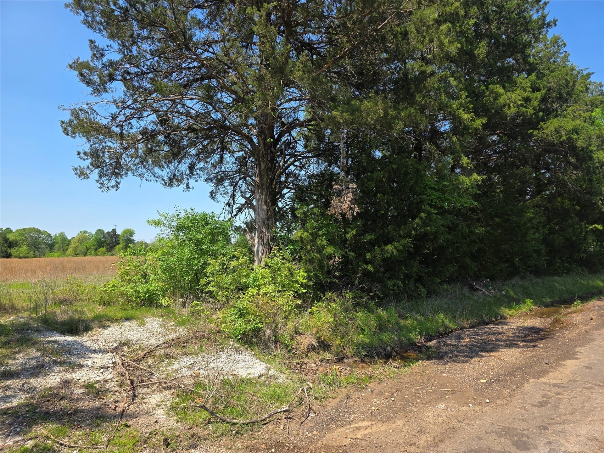 10.29 acres in Bowie County - photo 4