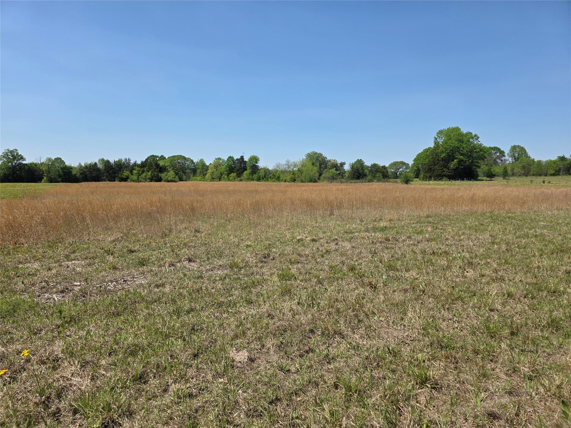 10.29 acres in Bowie County - photo 2