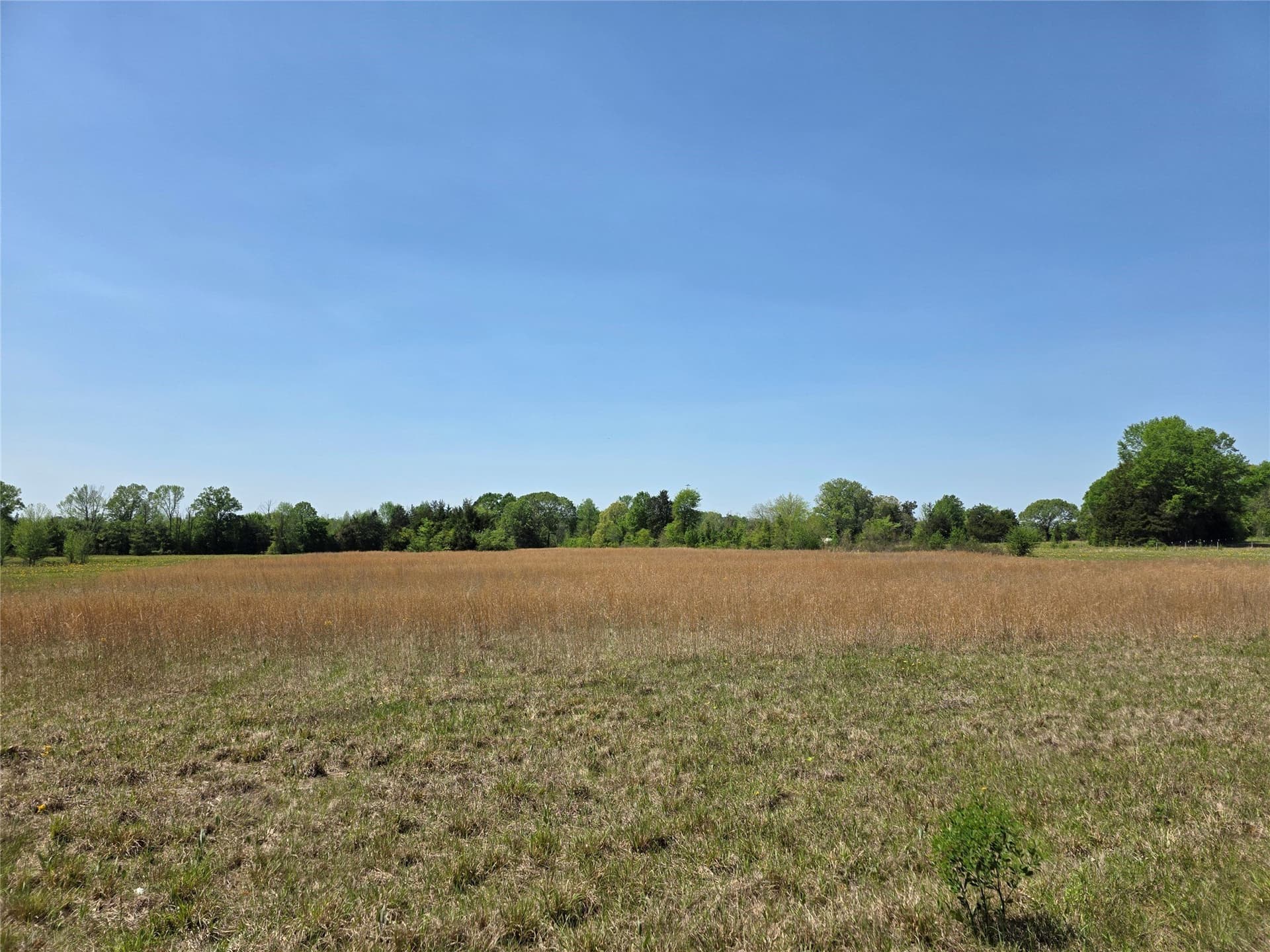 10.29 acres in Bowie County - photo 3