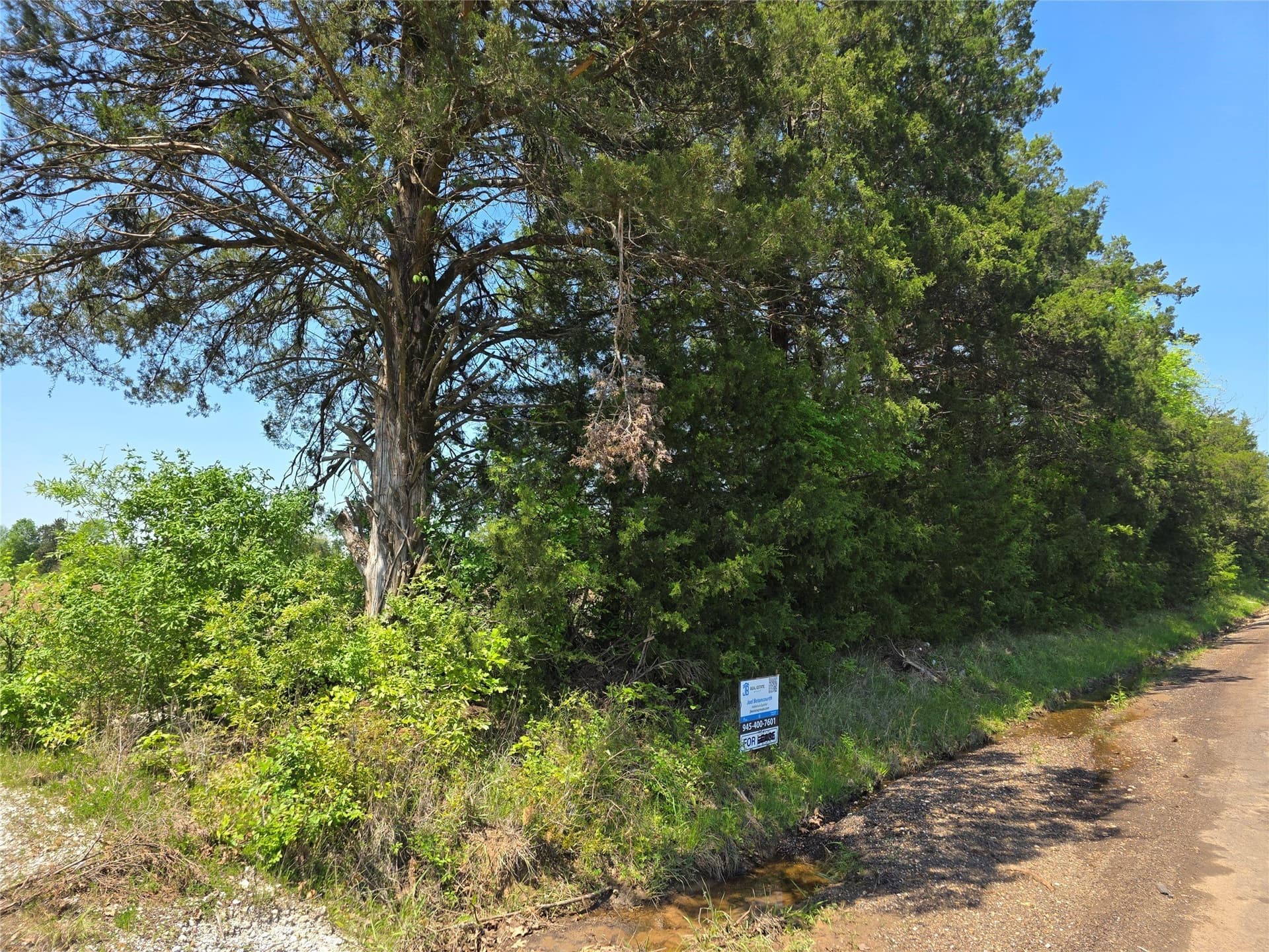 10.29 acres in Bowie County - photo 6