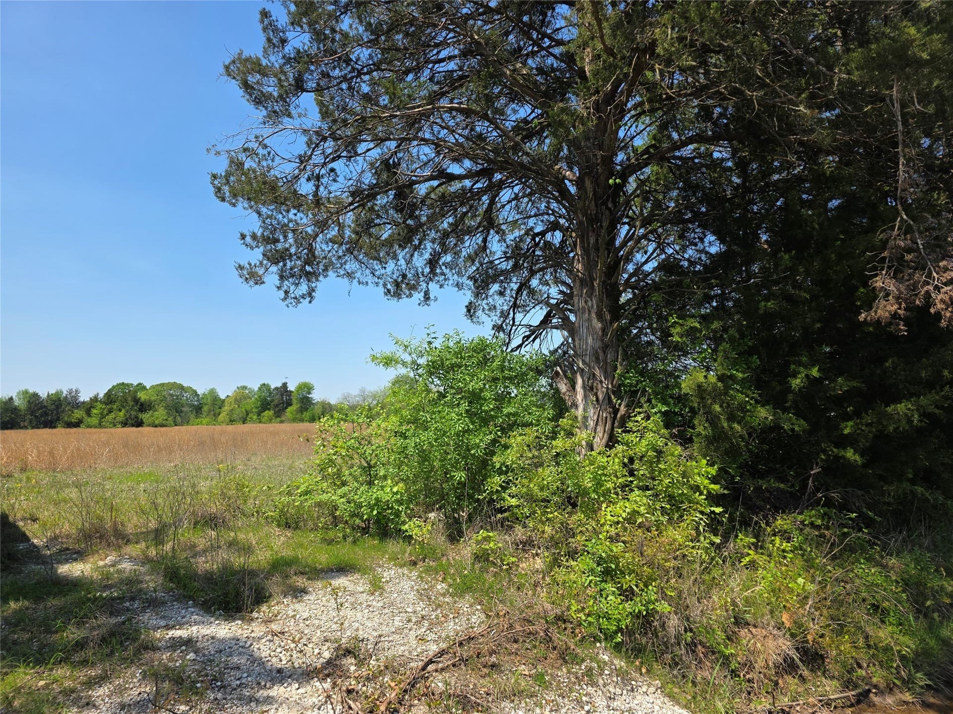 10.29 acres in Bowie County - photo 7
