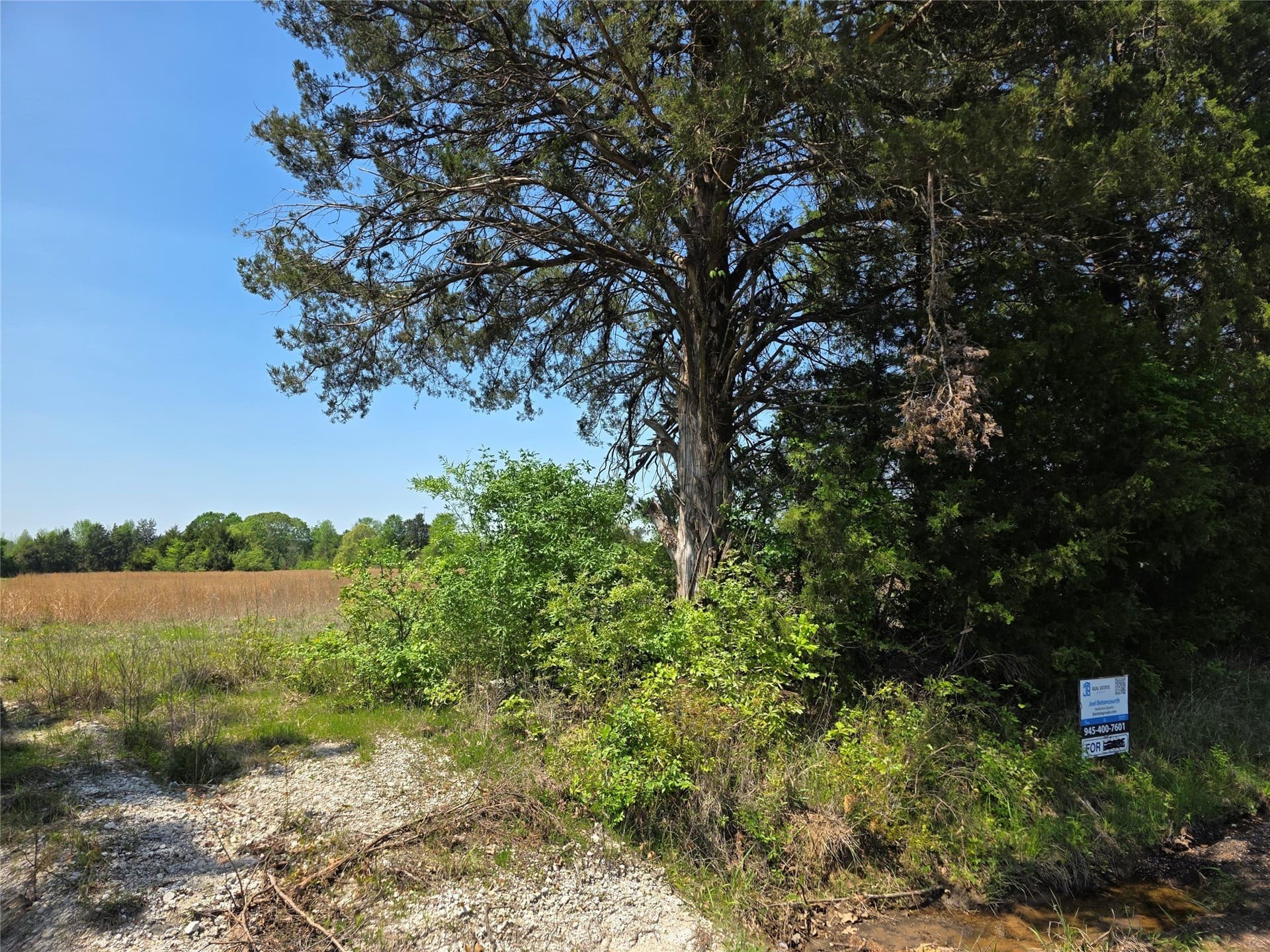 10.29 acres in Bowie County - photo 8