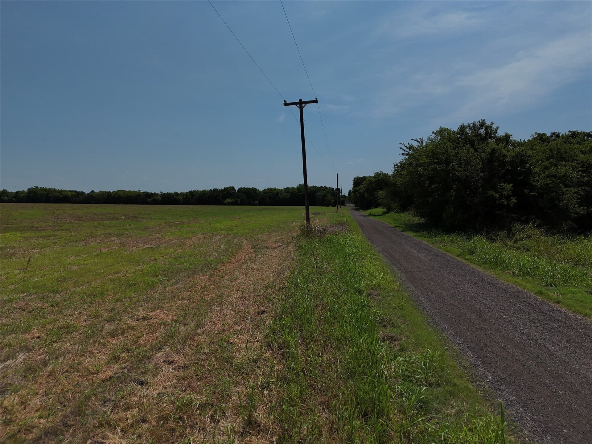 15.5 acres in Delta County - photo 6