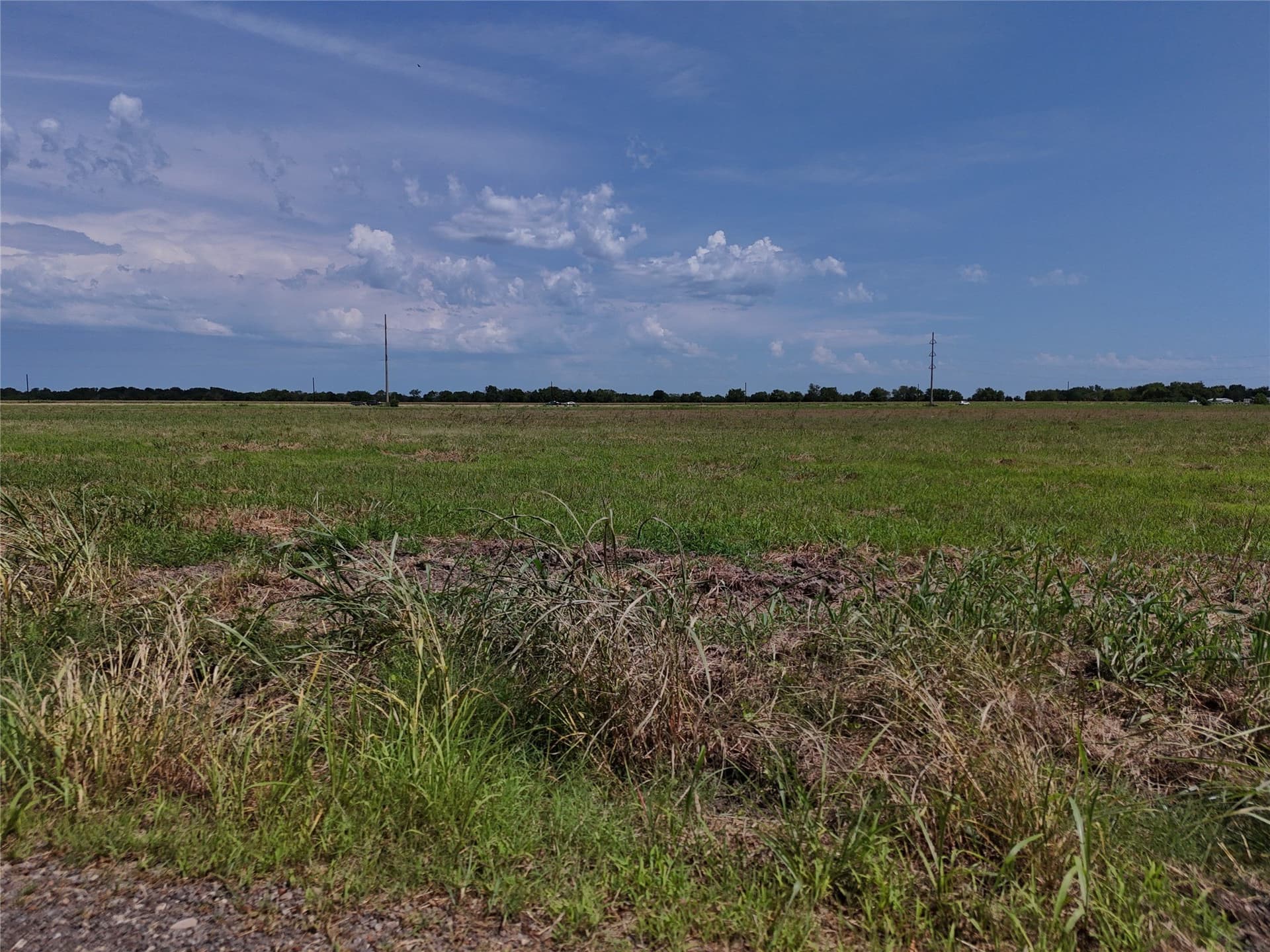 15.5 acres in Delta County - photo 10