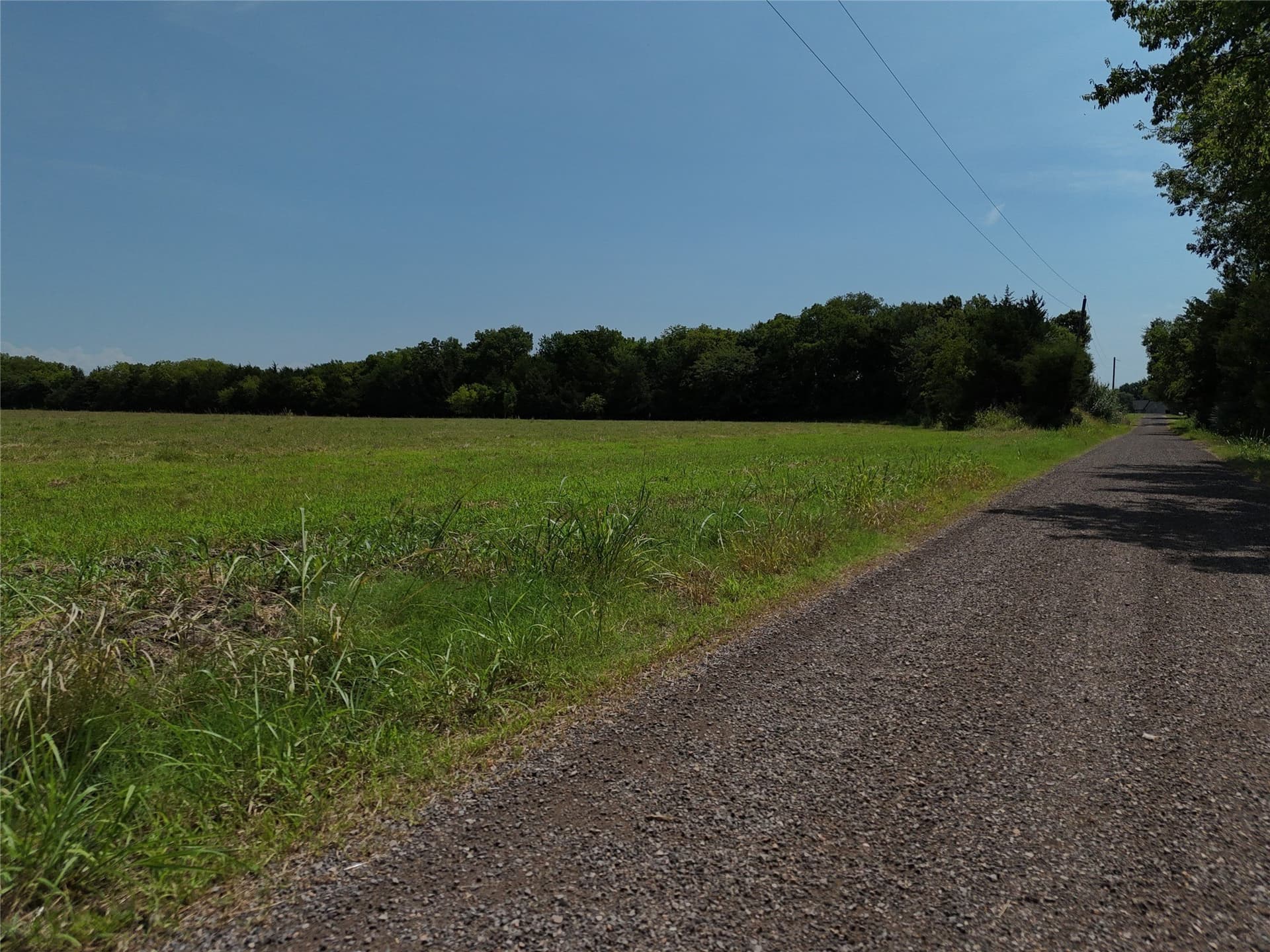 15.5 acres in Delta County - photo 9