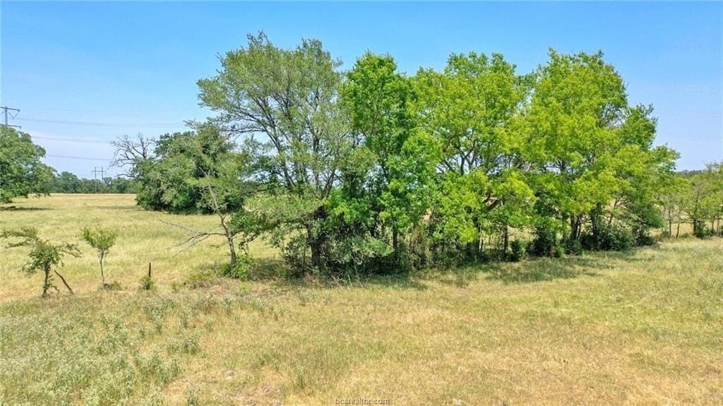 6.3 acres in Madison County gallery image 3