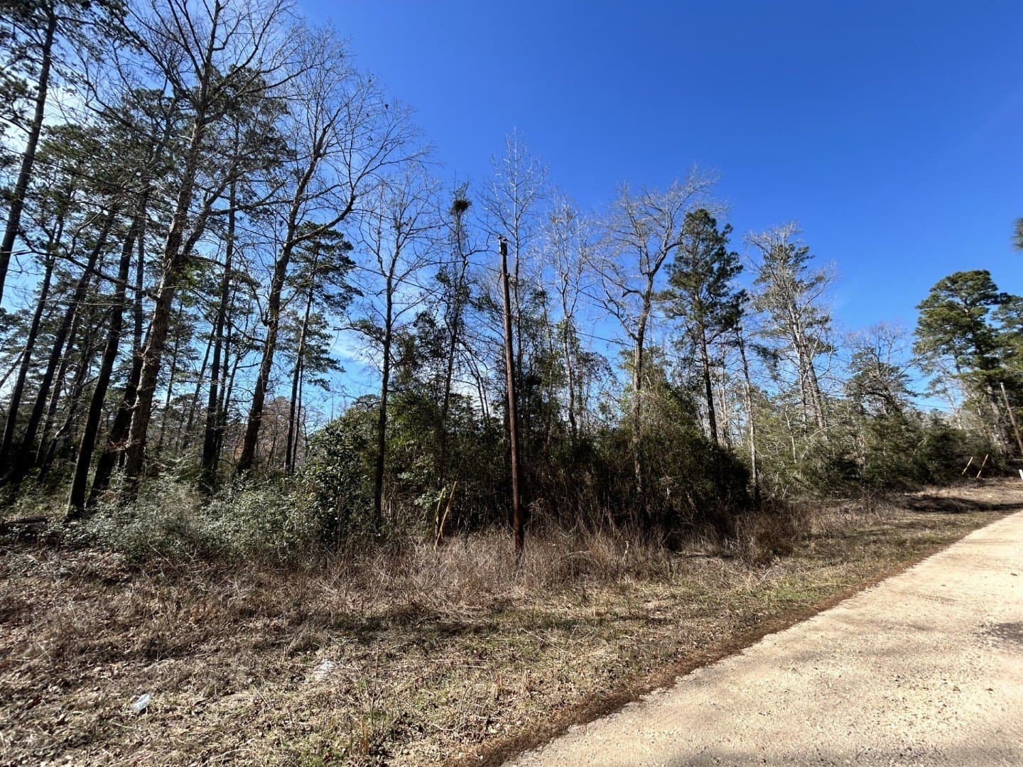 0.31 acres in Tyler County gallery image 4