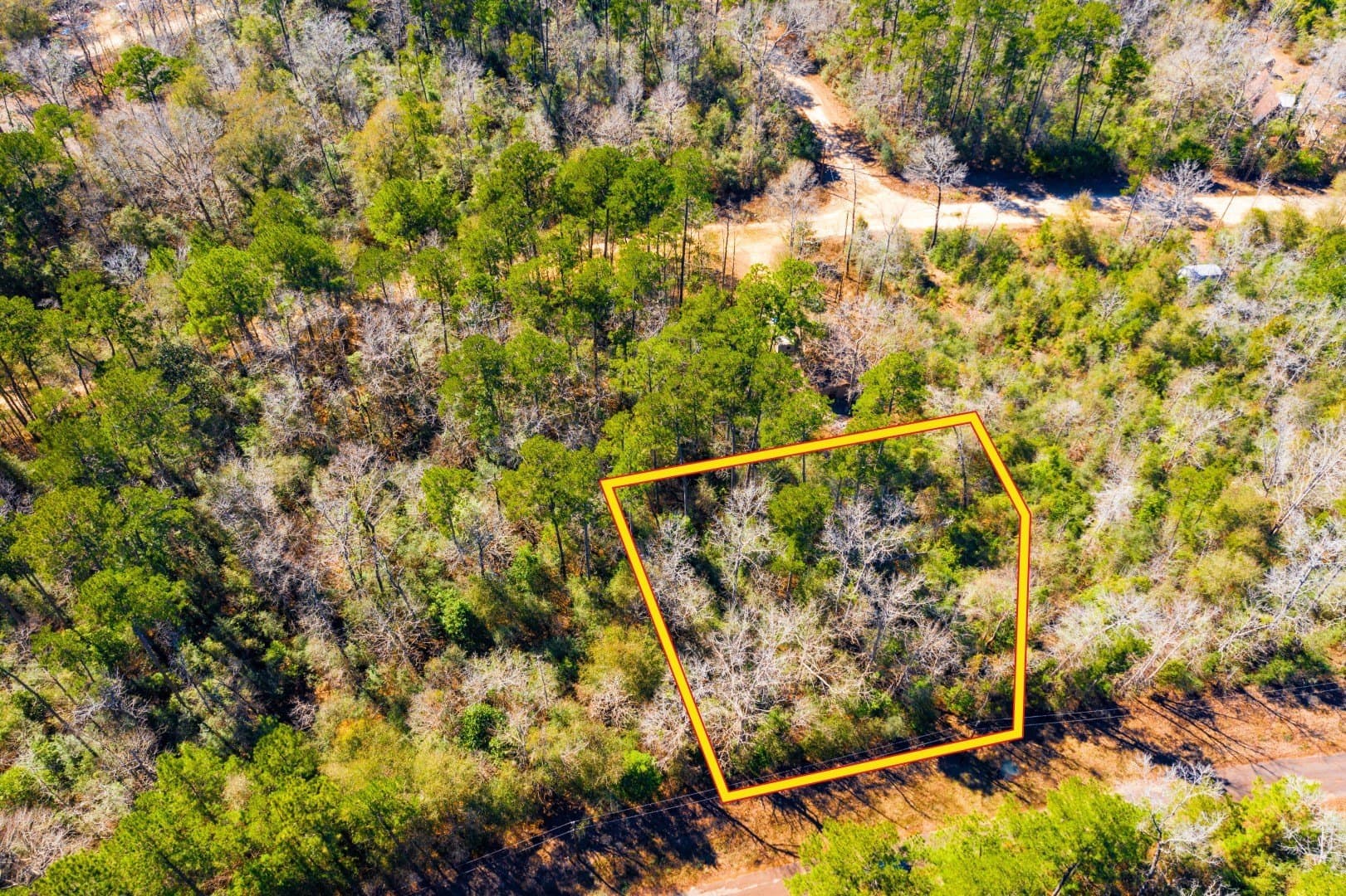 0.31 acres in Tyler County gallery image 2