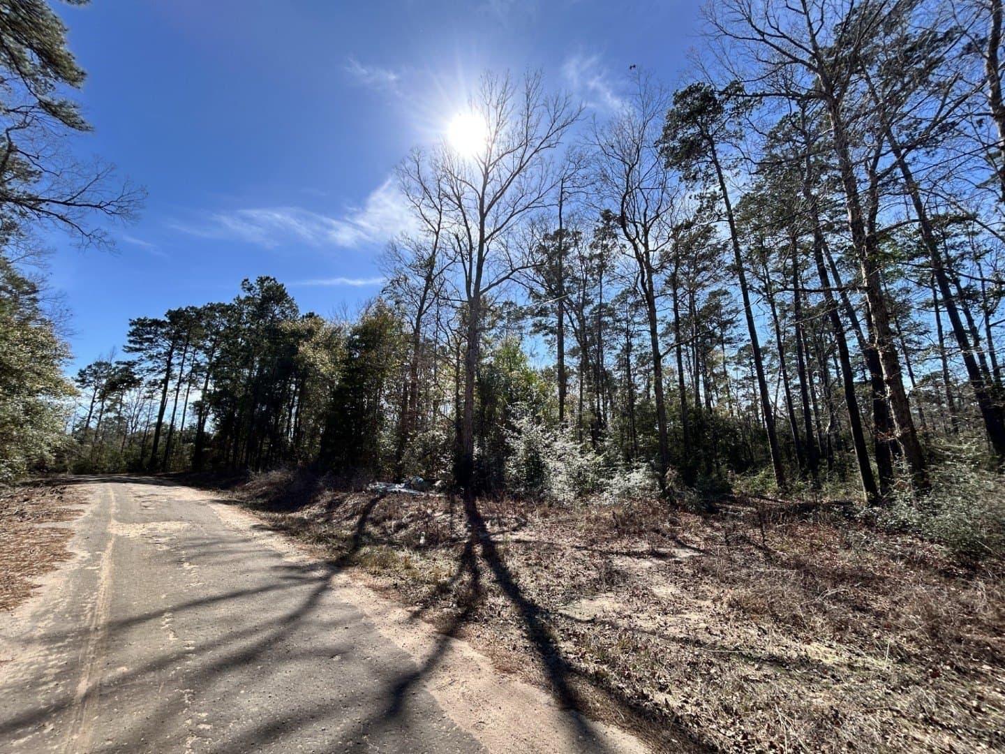 0.31 acres in Tyler County - photo 7