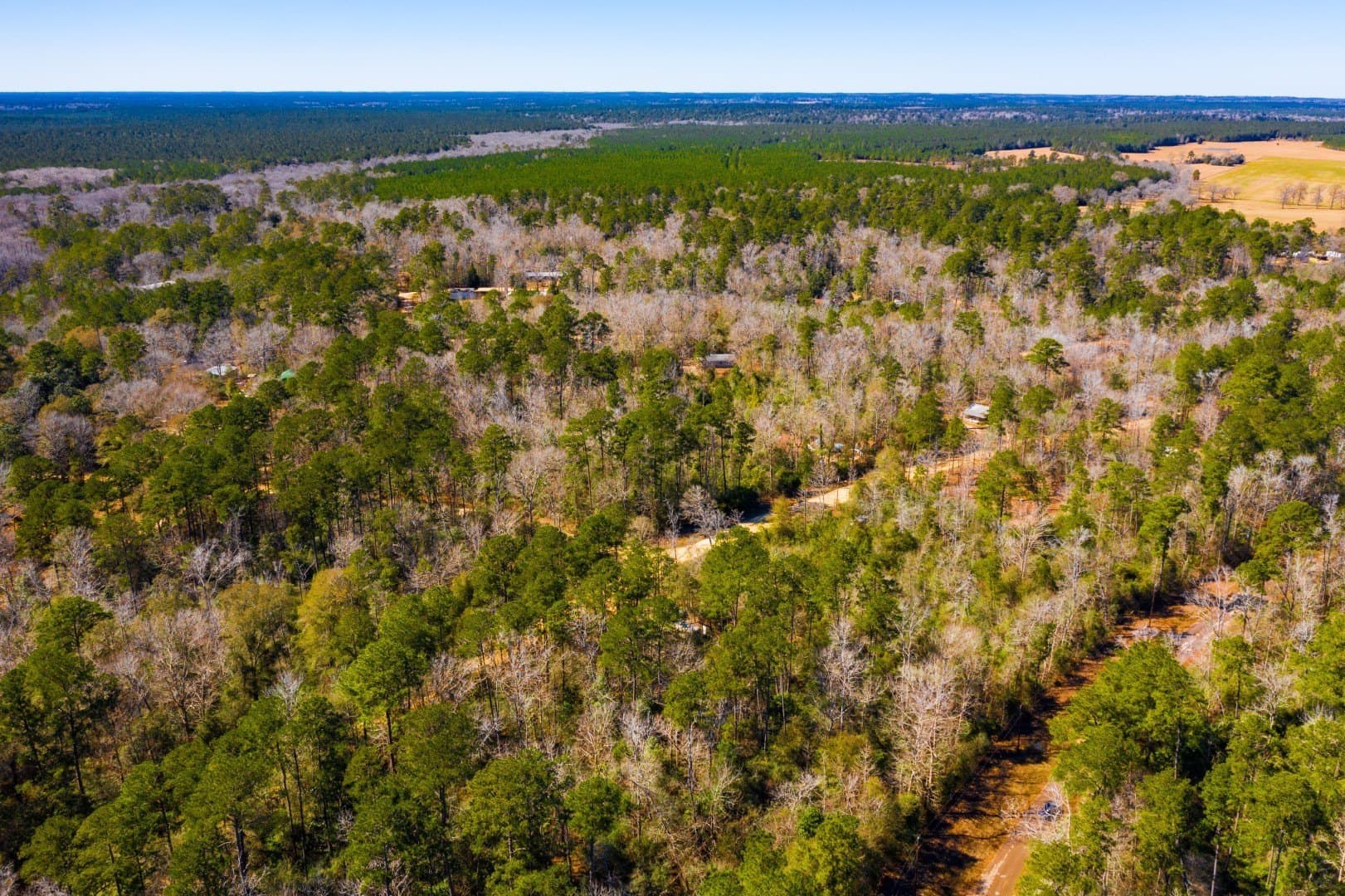 0.31 acres in Tyler County - photo 14