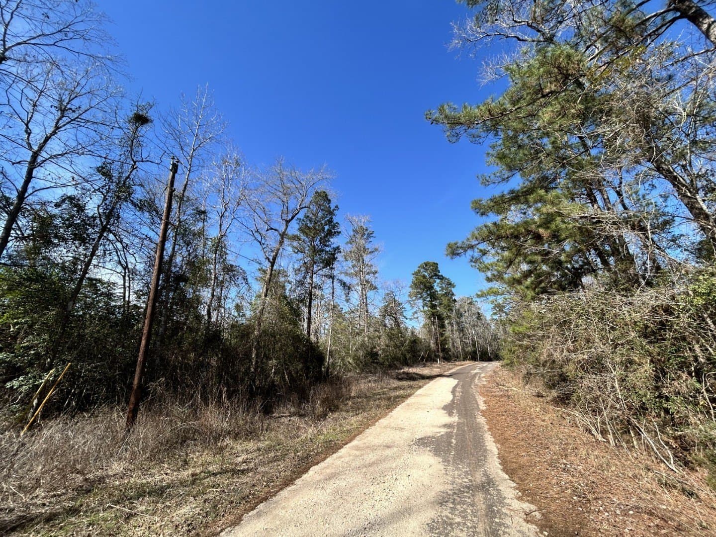 0.31 acres in Tyler County - photo 6