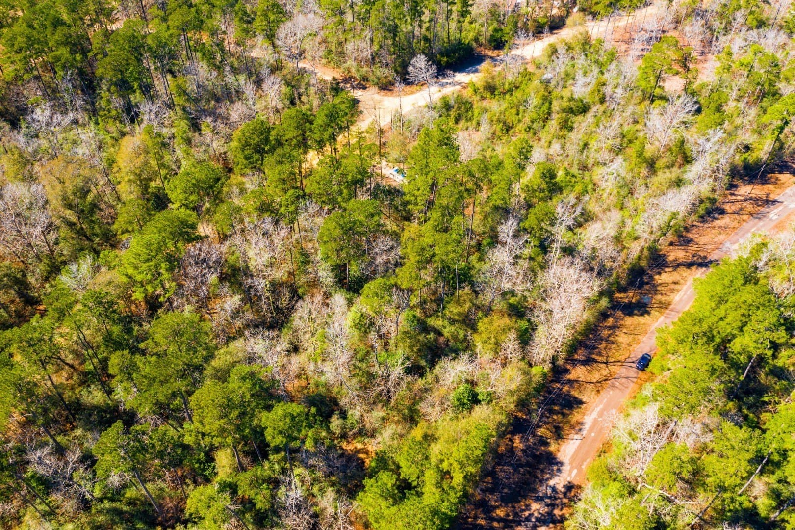 0.31 acres in Tyler County - photo 12