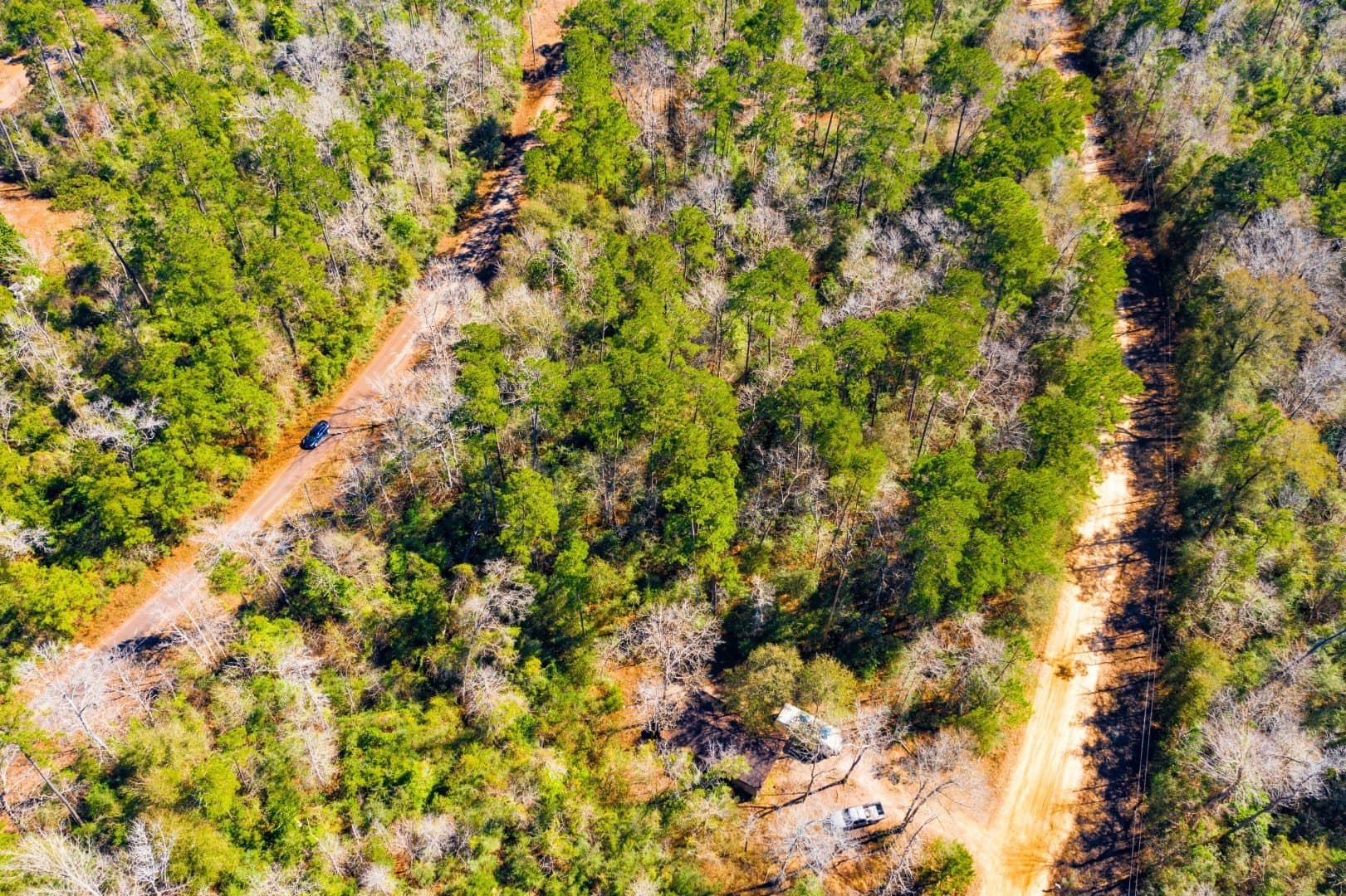 0.31 acres in Tyler County - photo 9