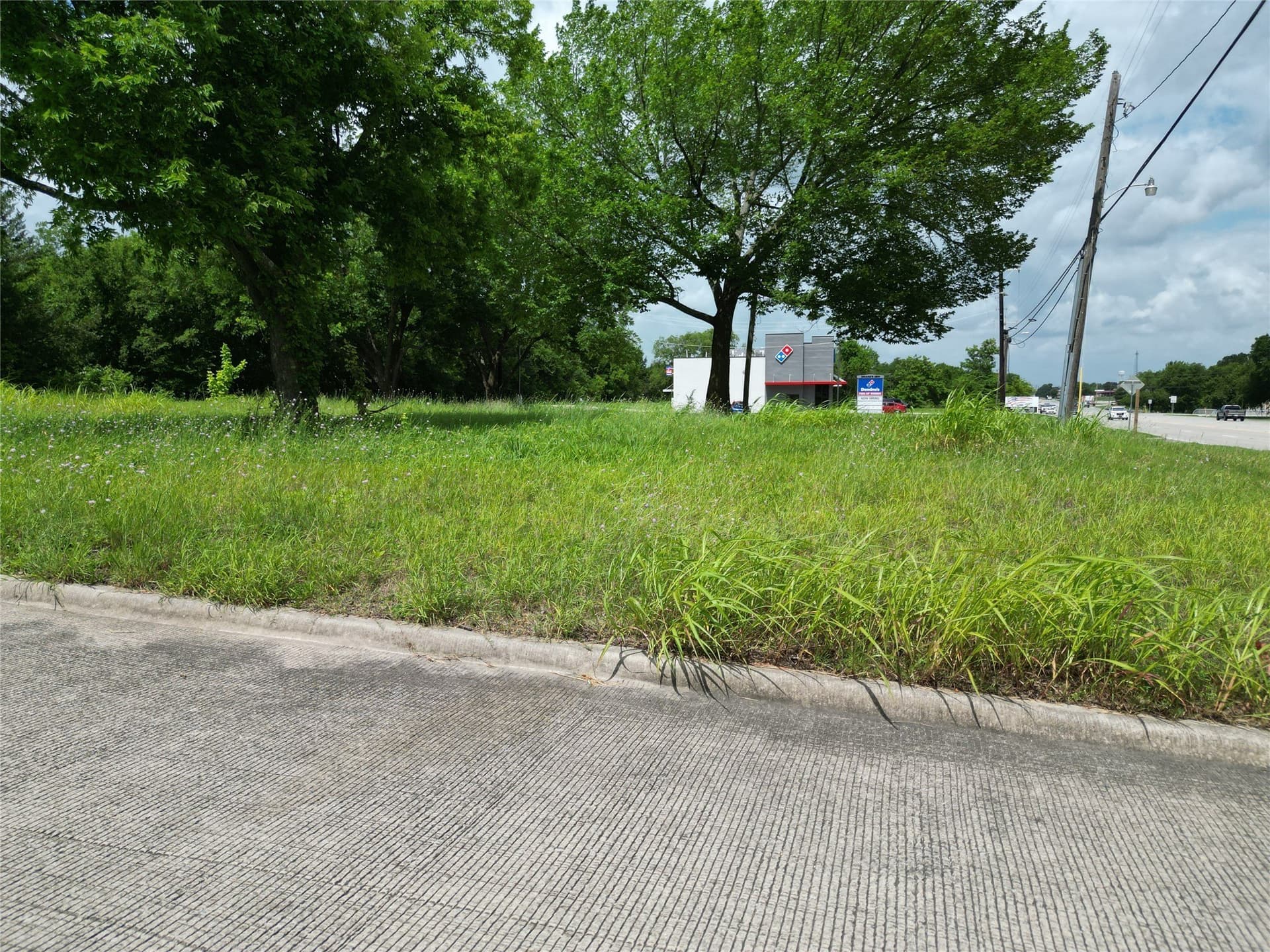 0.35 acres in Collin County - photo 12