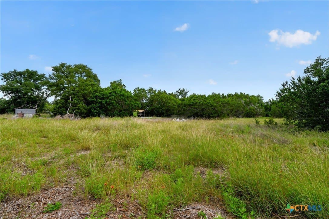 115.59 acres in Coryell County - photo 16