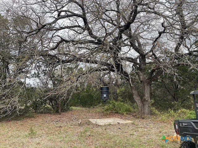 115.59 acres in Coryell County - photo 33