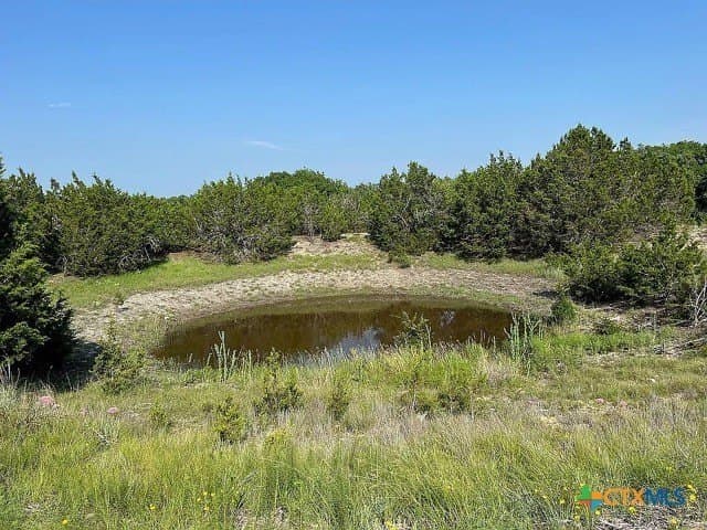 115.59 acres in Coryell County - photo 28