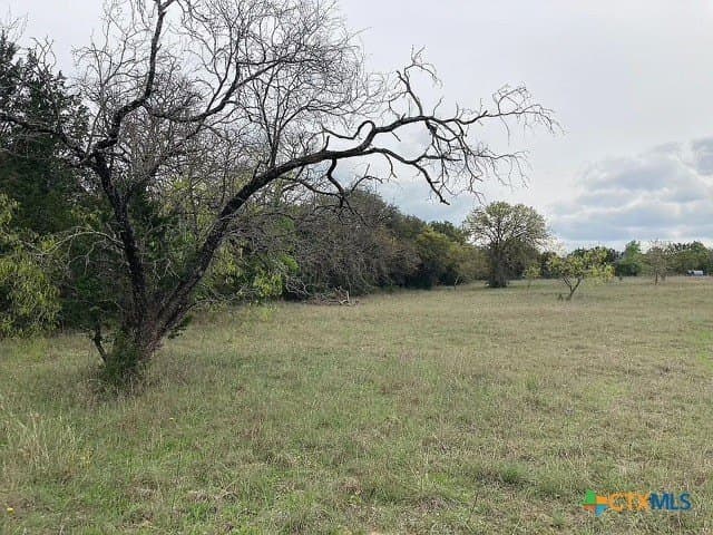 115.59 acres in Coryell County - photo 34