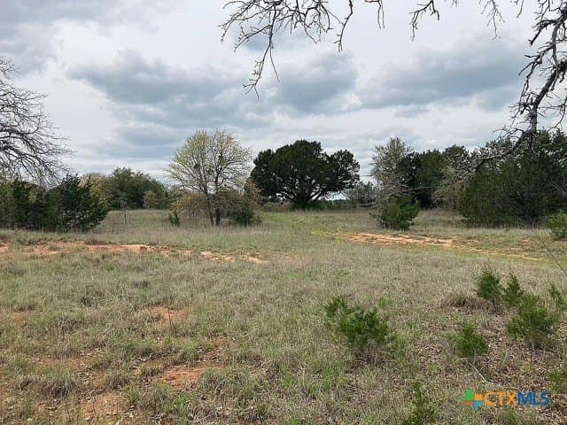 115.59 acres in Coryell County - photo 38