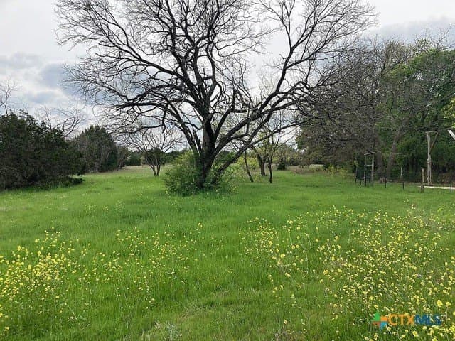 115.59 acres in Coryell County - photo 29