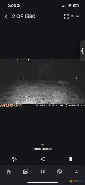 115.59 acres in Coryell County - photo 32