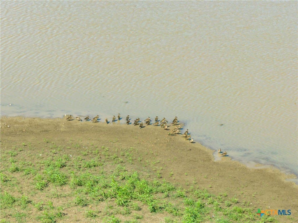 10.01 acres in McLennan County - photo 11